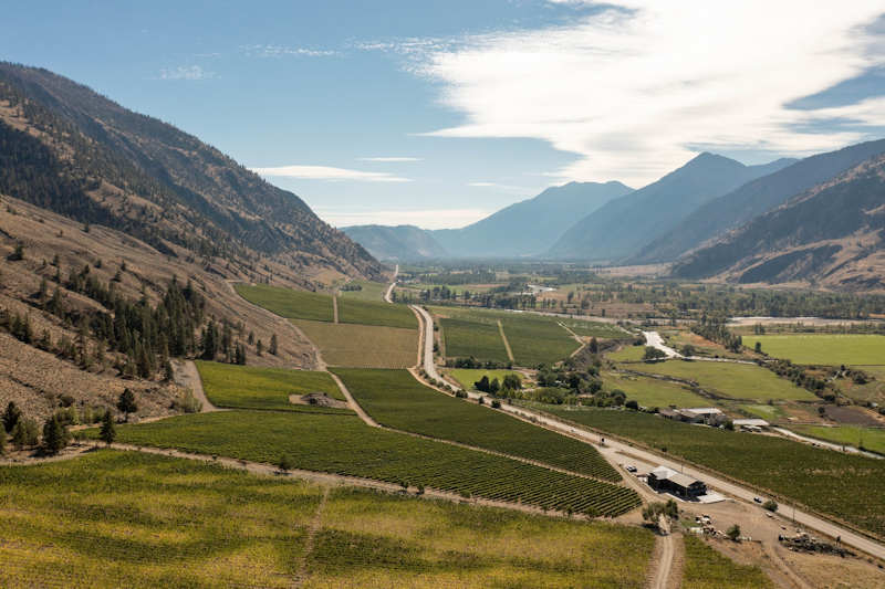 Vanessa Vineyards ~ Similkameen Valley 